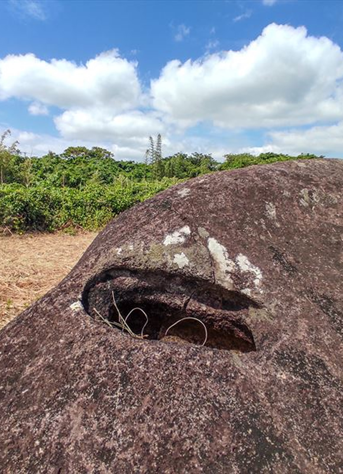 石は語り部！沖永良部島の歴史と伝承をめぐるタイムトラベル – しまのま