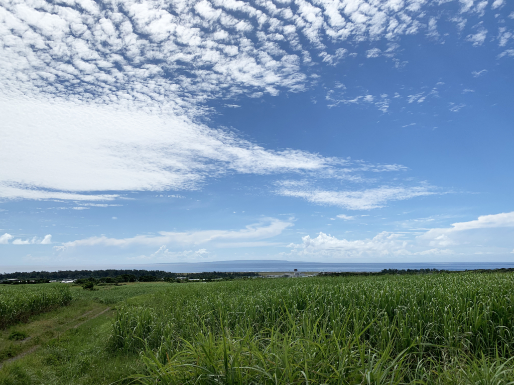 さとうきびを巡る島の話 第1話 歴史と風土と人が育てたさとうきびの今と昔 しまのま